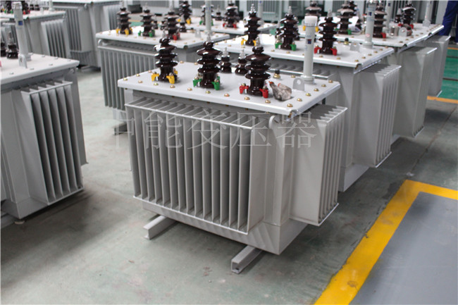 昭通S22-100KVA/10KV/0.4KV变压器